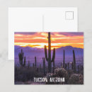 Search for desert sunset postcards Saguaro