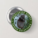 Search for koala stuff buttons Qualified