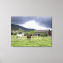 Search for horse ranch posters Rural scene