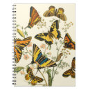 Search for butterfly notebooks Orange