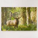 Recherche de wapiti puzzles Taureau