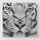 Recherche de tigre blanc horloges Animal
