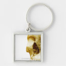 Search for the human body keychains Front