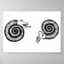 Search for ammonite art Ocean