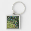 Search for tail feather keychains Green