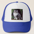 Search for persian hats Pet