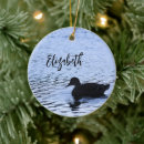 Search for ducks ornaments Bird