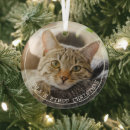 Search for animals ornaments Cats