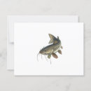 Search for catfish postcards Animal