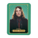 Search for secrets magnets Wizarding wold