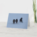 Search for iceland cards Equine