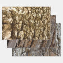 Search for tree bark wrapping paper Wood