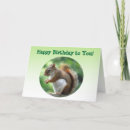 Search for squirrel birthday cards Wild