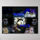 Search for wolf pictures posters Blue