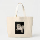 Recherche de de lynx sacs Chats
