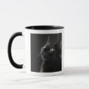 Search for cat background mugs Close up