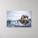 Search for sea otter canvas prints Animal wildlife