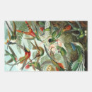 Recherche de haeckel autocollants Biologie