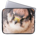 Search for falconer cases Birds