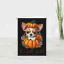 Search for tarot reading cards Black cat