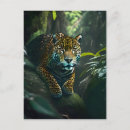 Recherche de jaguar sauvage cartes postales Prédateur