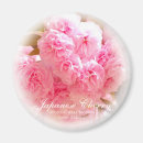 Search for cherrys magnets Pink