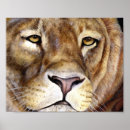 Recherche de visage lion posters Chat