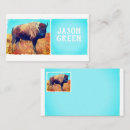 Search for southwest business cards Watercolor