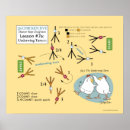 Search for step dancing posters Dance