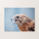 Search for birds of prey puzzles Wild