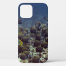 Search for ocean reef iphone cases Underwater