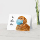 Search for golden retriever get well cards Pet