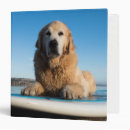 Search for boarding binders Sea