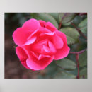 Recherche de arborétum posters Fleur