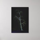 Recherche de 24x36 posters Noir