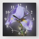 Search for glow clocks Purple