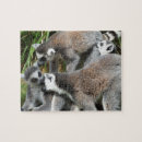 Recherche de anneaux puzzles Faune