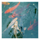 Search for koi pond posters Nishikigoi