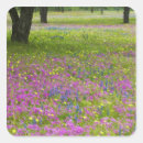 Search for bonnet stickers Pink