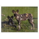 Recherche de africain ustensiles cuisine Animaux