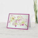 Search for raspberry flowers Purple