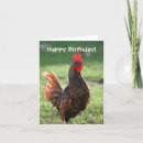 Search for rooster birthday Cute