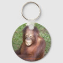 Search for apes round keychains Conservation