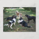 Search for reunion party cards Parties