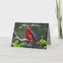 Search for creative birthday cards Nature