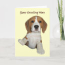 Search for beagles cards Hound