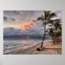 Recherche de les îles canaries posters Palmiers