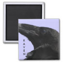 Search for black crow magnets gothic