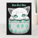Search for pocket cards Cat