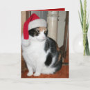 Search for cat lover christmas cards Santa